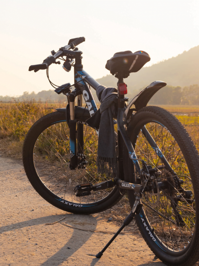 8 Curiosidades sobre a história da bicicleta