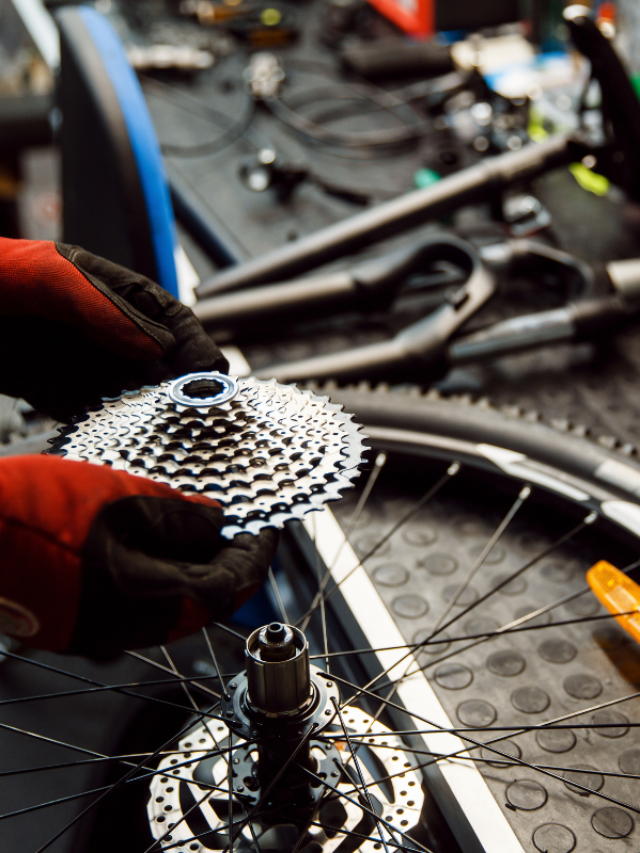 Conheça as principais peças da sua bicicleta