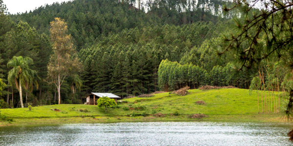 Vale Europeu em Santa Catarina