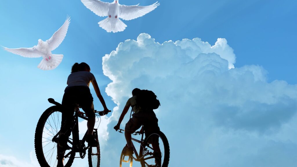 Roteiro caminho da fé de bike