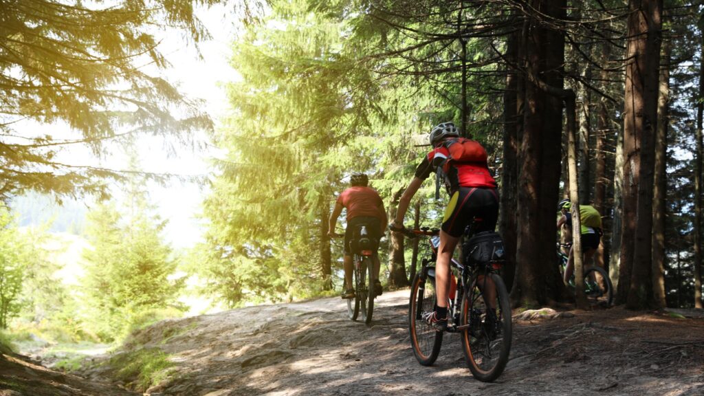 Regras Ciclo Turismo 1024x576