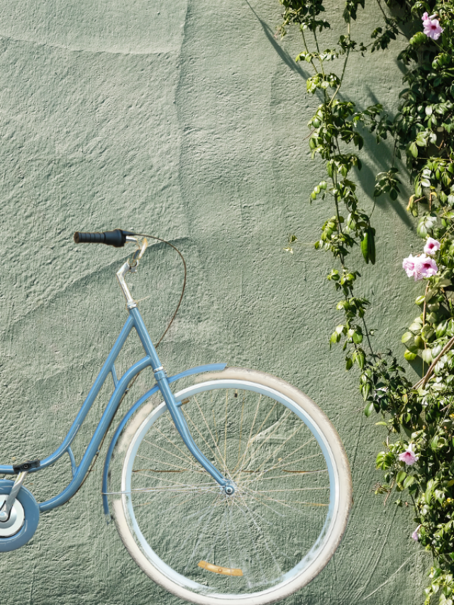 Pedalando para um Futuro Sustentável