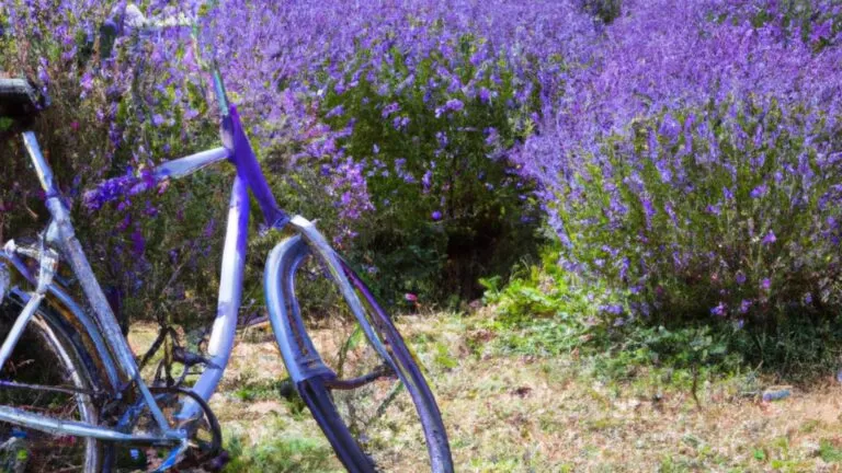 Cicloturismo-internacional