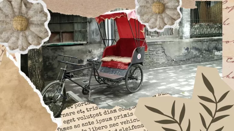 fundamentos do ciclismo