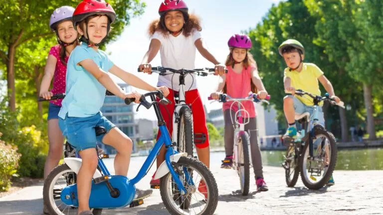 rodinha da bicicleta